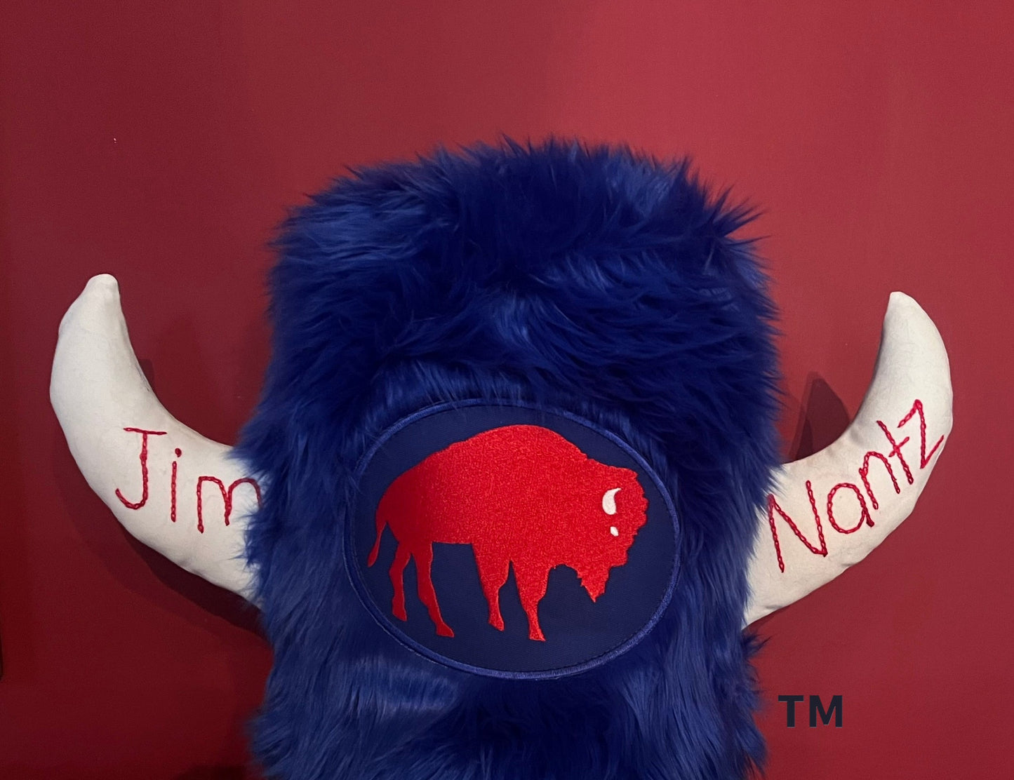 Deluxe Custom Hat with Embroidered Horns of words or names of your choice.