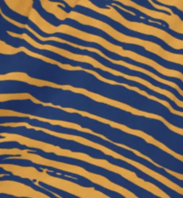 Hockey Cap(low low profile) in blue or red.